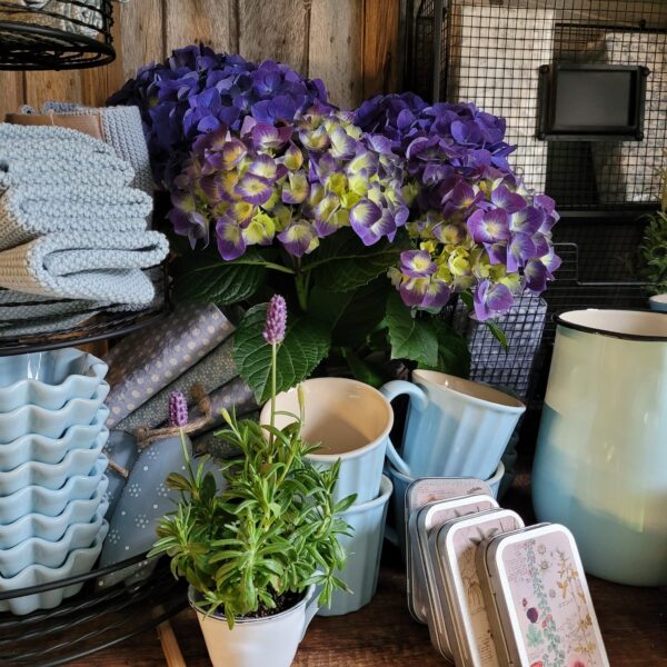 1086b923-4f01-4c81-b5d1-fea9a82b66d2