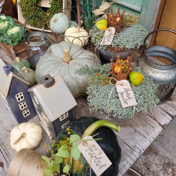 1ab859b4-4f66-4d9c-a1e3-04e5cc707fd7