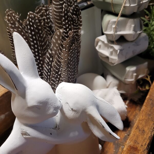 72dc3967-0215-432f-90ea-c33756f68ac2