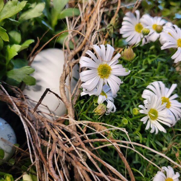 76e94e30-560e-4ebf-b773-2f3f74b73c88