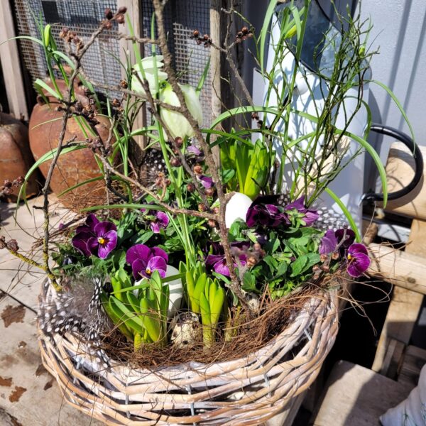 7788ad5e-e318-457e-b189-b5e68cf8da9c