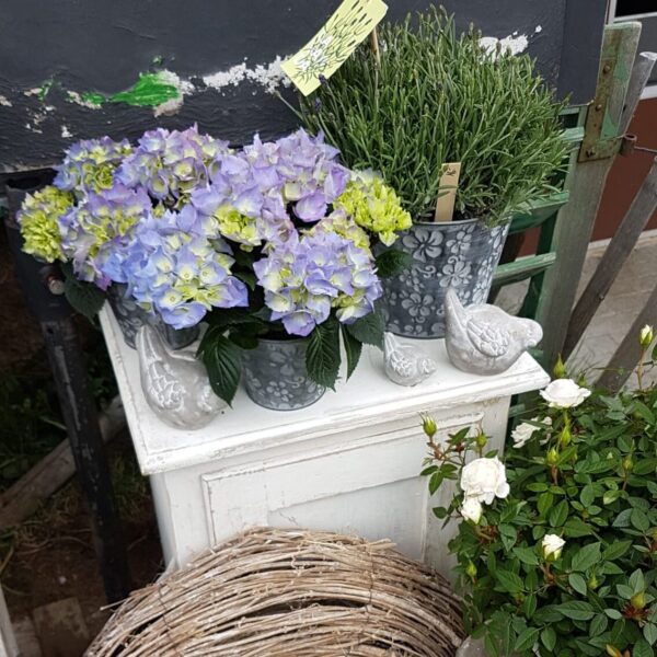 8e8fd6c7-67fd-4b42-93bb-c8f3f8d84ac1