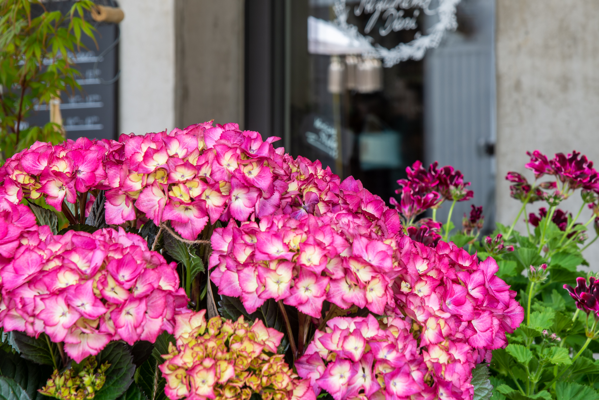 Berther_Rueras_Atelier_A21.155_0004