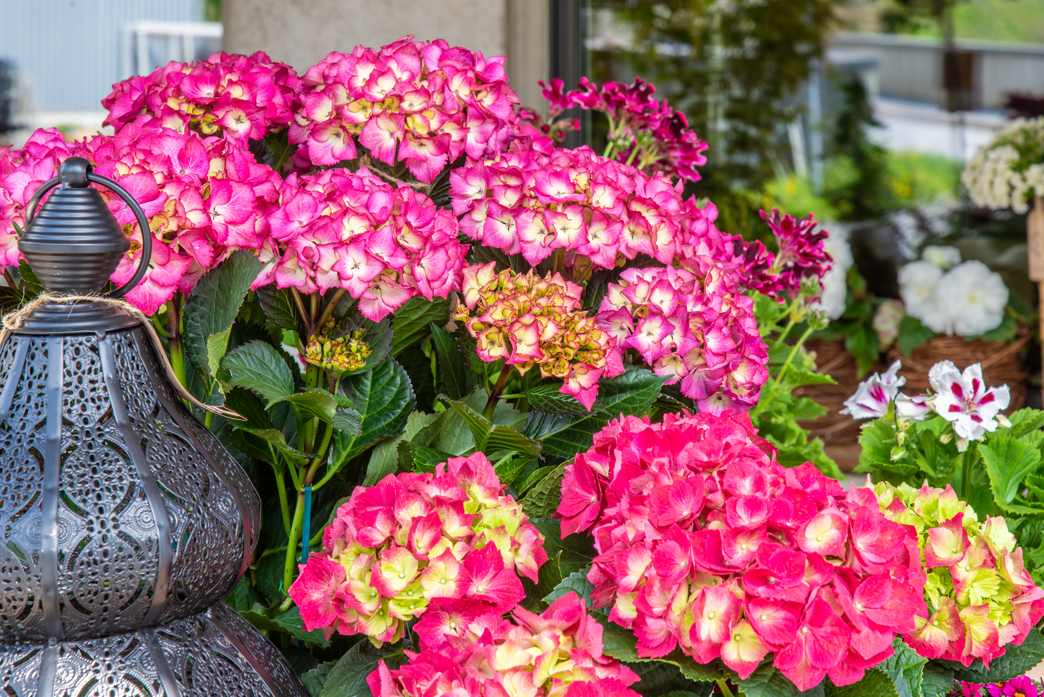 Berther_Rueras_Atelier_A21.155_0005